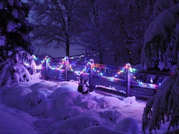 Snow fence lights